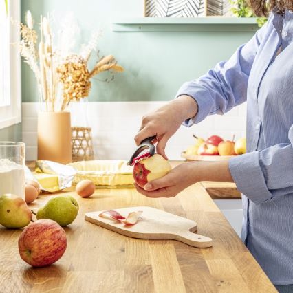 Tefal - Kitchen peeler INGENIO stainless steel/black