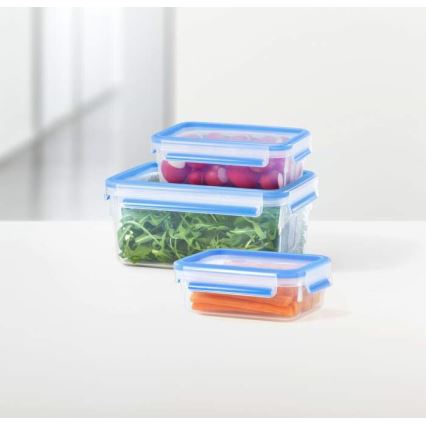 Tefal - MASTER SEAL FRESH 5-piece food container set, blue