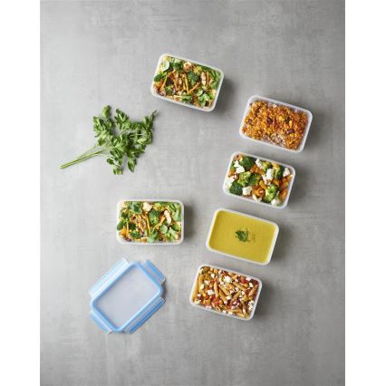 Tefal MASTER SEAL FRESH 6-piece Food Storage Container Set 0.8 L, Blue