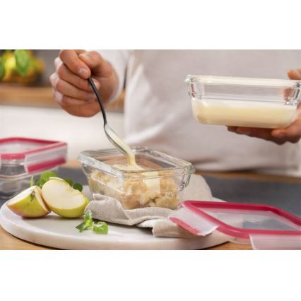 Tefal - MSEAL GLASS 0.45 L Food Container, Red/Glass