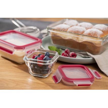 Tefal - MSEAL GLASS 0.45 L Food Container, Red/Glass