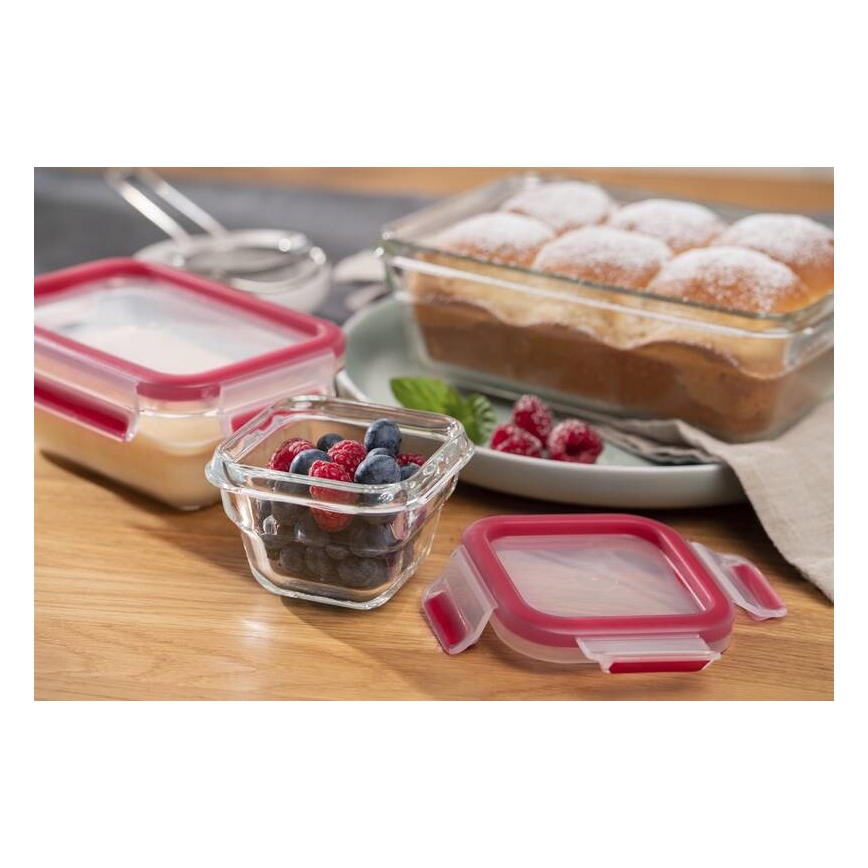 Tefal - MSEAL GLASS 0.45 L Food Container, Red/Glass