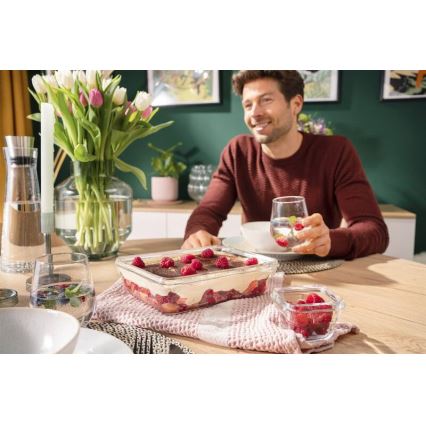 Tefal - MSEAL GLASS 3 L Food Container, Red/Glass