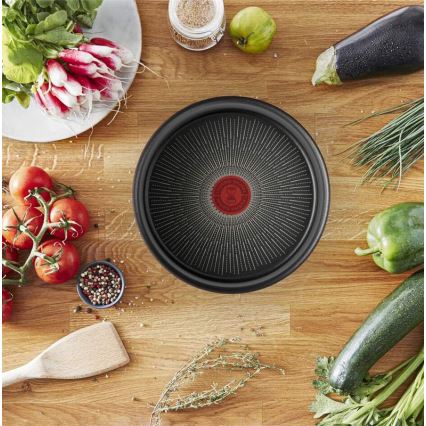 Tefal - Pan INGENIO Unlimited 24 cm