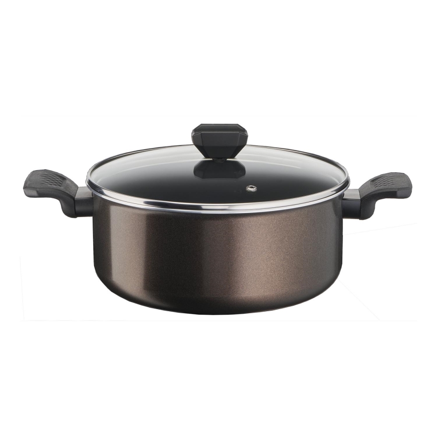 Tefal - Pot with a lid EASY COOK&CLEAN 24 cm