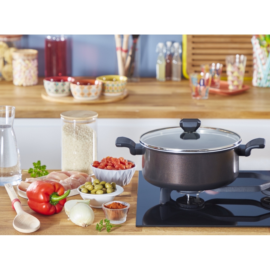 Tefal - Pot with a lid EASY COOK&CLEAN 24 cm