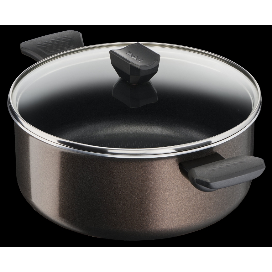 Tefal - Pot with a lid EASY COOK&CLEAN 24 cm