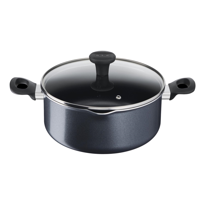 Tefal - Pot with a lid FAMILY DAY 24 cm