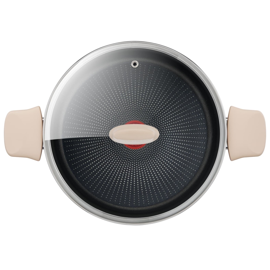 Tefal - Pot with lid RESPECT Ø 24 cm
