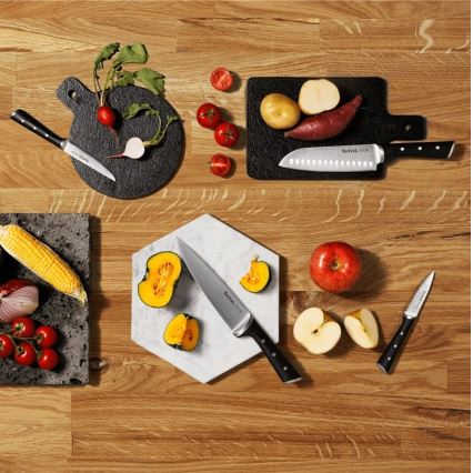 Tefal - Set of kitchen knives in a stand ICE FORCE 6 pcs