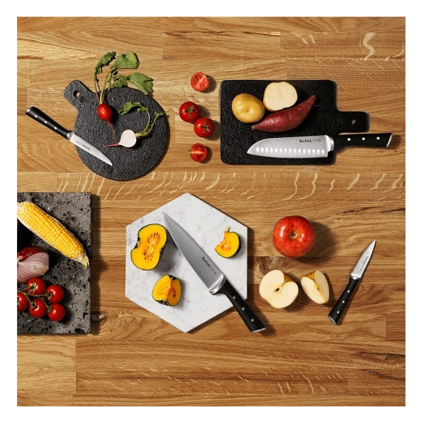 Tefal - Set of kitchen knives in a stand ICE FORCE 6 pcs