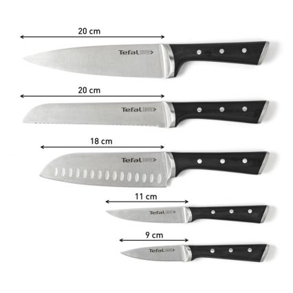 Tefal - Set of kitchen knives in a stand ICE FORCE 6 pcs