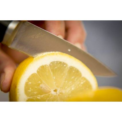 Tefal - Stainless steel carving knife ICE FORCE 9 cm shiny chrome/black