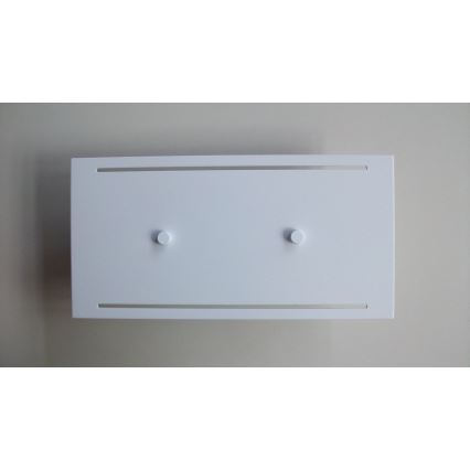 Telefunken 307806TF - LED Outdoor wall light 2xLED/3,5W/230V IP44 white