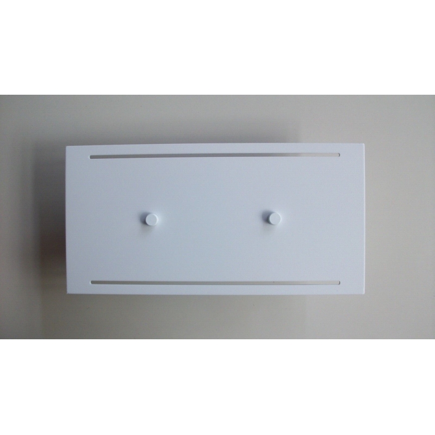 Telefunken 307806TF - LED Outdoor wall light 2xLED/3,5W/230V IP44 white