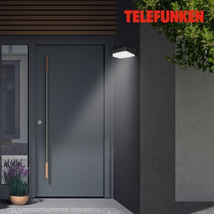 Telefunken 312205TF - LED Outdoor wall light LED/14W/230V IP44