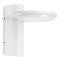 Telefunken 312406TF - LED Outdoor wall light LED/10W/230V IP44