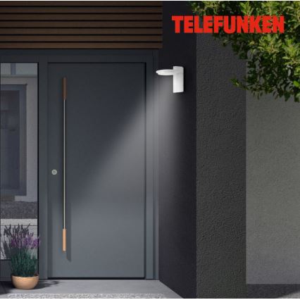 Telefunken 312406TF - LED Outdoor wall light LED/10W/230V IP44