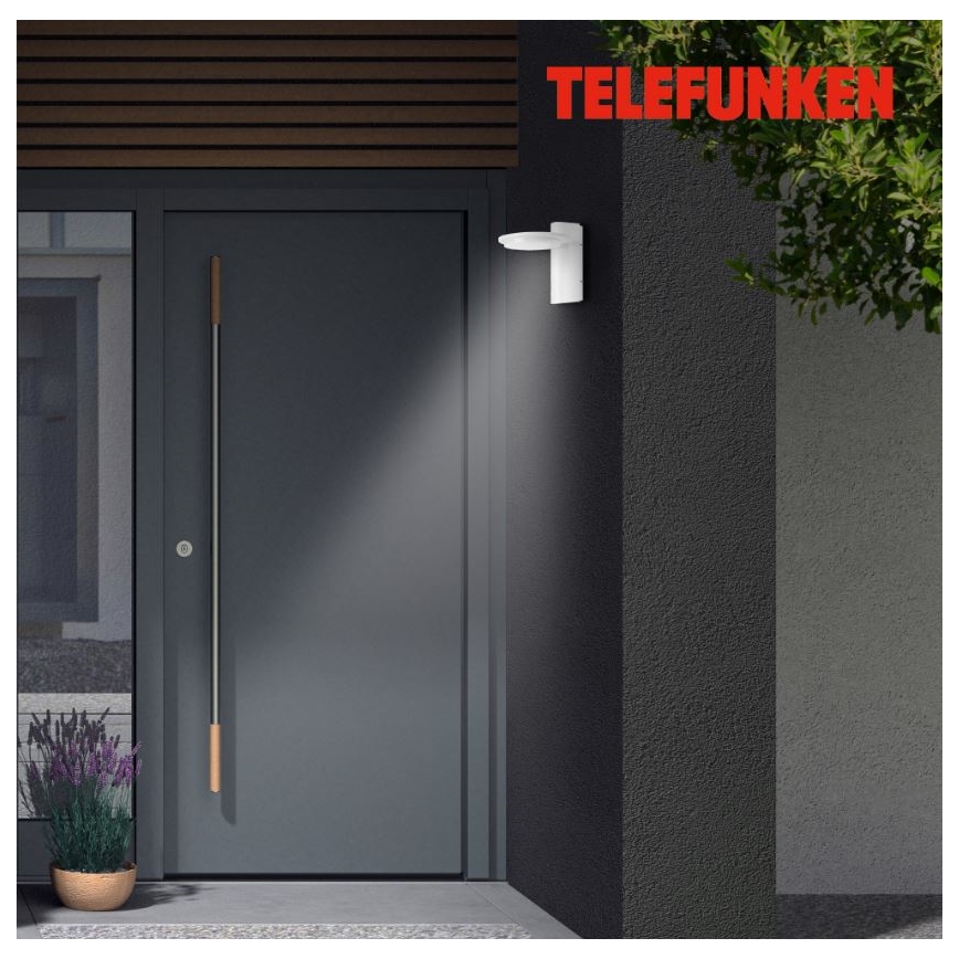 Telefunken 312406TF - LED Outdoor wall light LED/10W/230V IP44