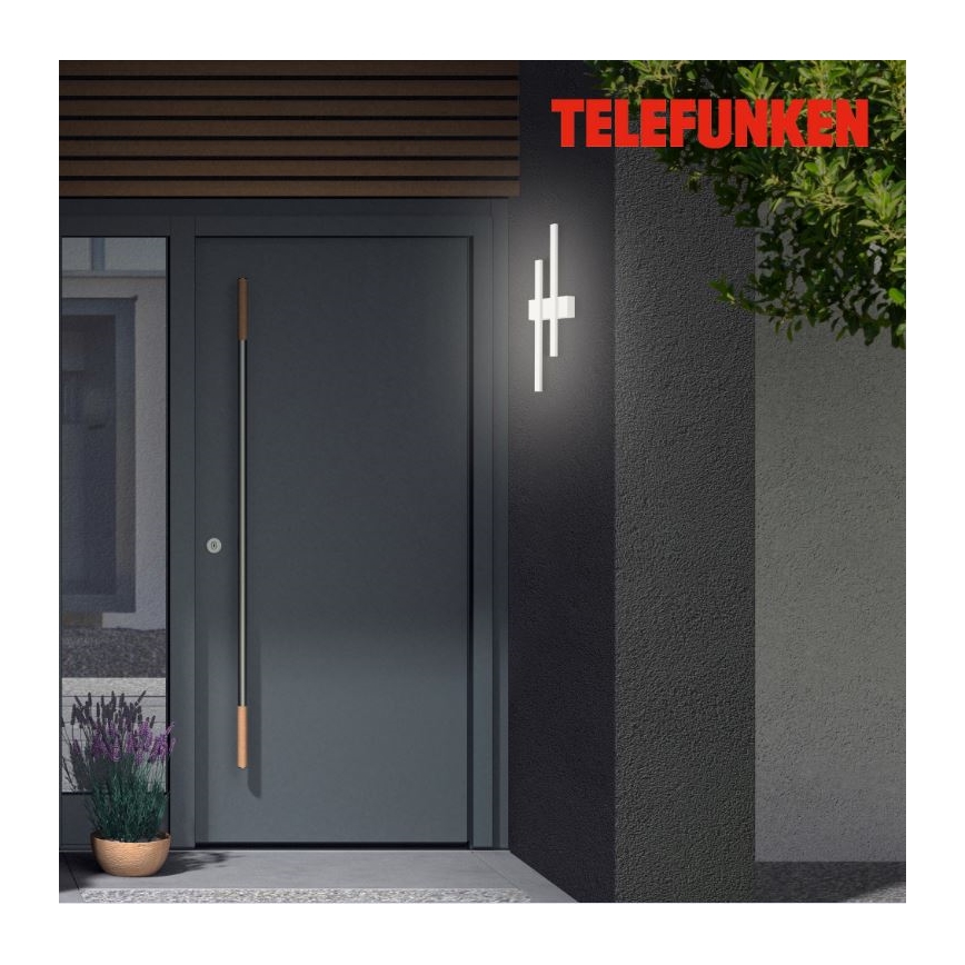 Telefunken 313206TF - LED Outdoor wall light 2xLED/8W/230V IP44