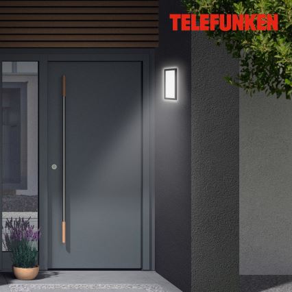 Telefunken 313605TF - LED Outdoor wall light LED/16W/230V IP44 black