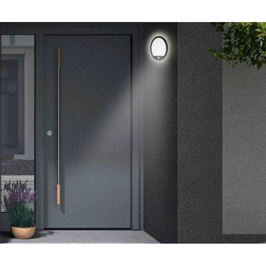 Telefunken 313705TF - LED Outdoor wall light with a sensor LED/15W/230V IP44