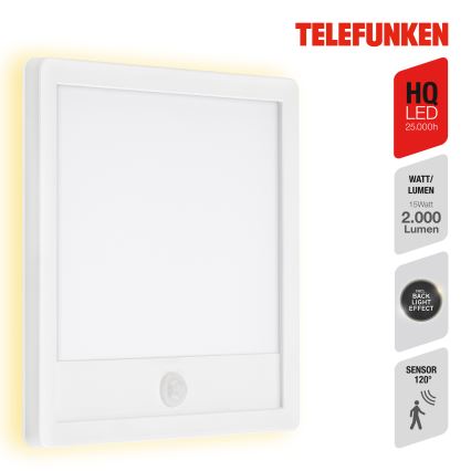 Telefunken 313806TF - LED Outdoor wall light with a sensor LED/15W/230V IP44