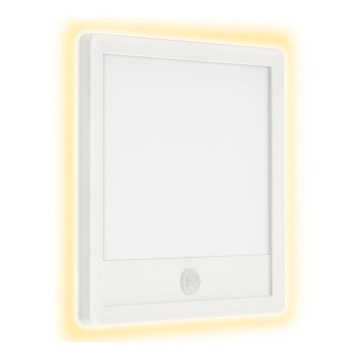 Telefunken 313806TF - LED Outdoor wall light with a sensor LED/15W/230V IP44