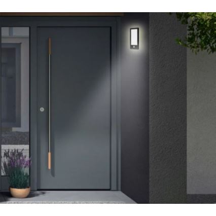Telefunken 313905TF - LED Outdoor wall light with a sensor LED/16W/230V IP44