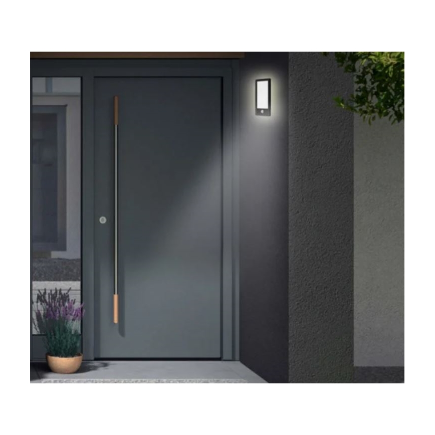 Telefunken 313905TF - LED Outdoor wall light with a sensor LED/16W/230V IP44