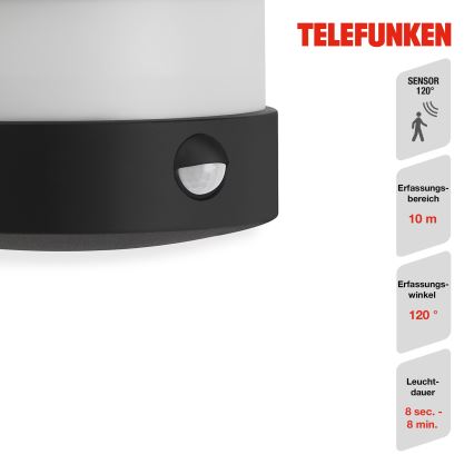 Telefunken 315505TF - LED Outdoor wall light with a sensor LED/12W/230V IP44 black