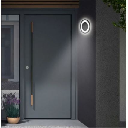 Telefunken 315805TF - LED Outdoor wall light LED/15W/230V IP44