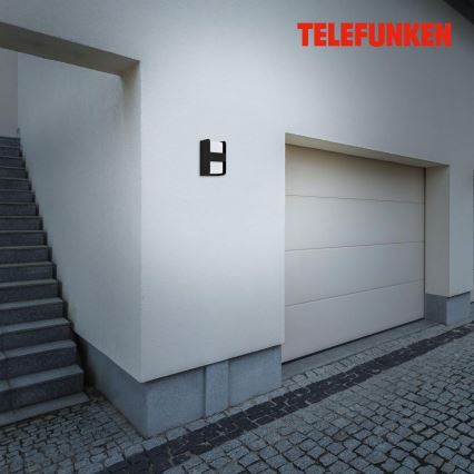 Telefunken 321005TF - Outdoor wall light 1xE27/12W/230V IP44 black