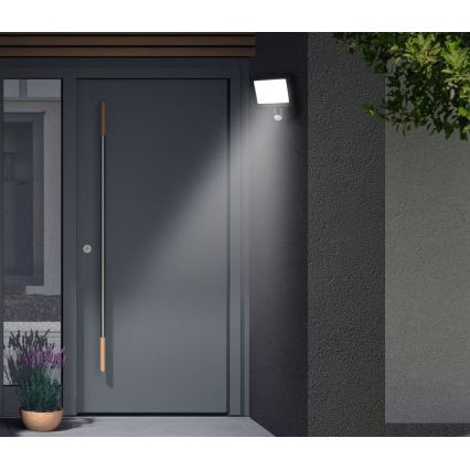 Telefunken - LED Floodlight with Motion Sensor LED/20W/230V