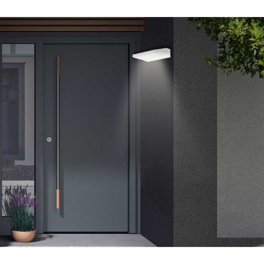 Telefunken - LED Outdoor Wall Light, 10W, 230V, IP44, White