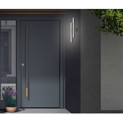 Telefunken - LED Outdoor Wall Light 2xLED/4W/230V 4000K IP44 black