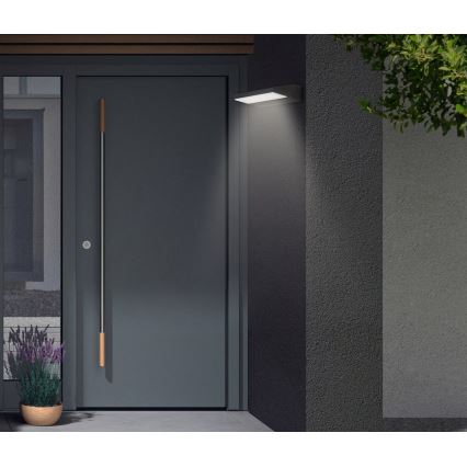 Telefunken - LED Outdoor Wall Light LED/10W/230V IP44 Black