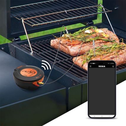 TESLA Electronics Cook - Digital meat thermometer with probe 0-400 °C 2xAA IP65