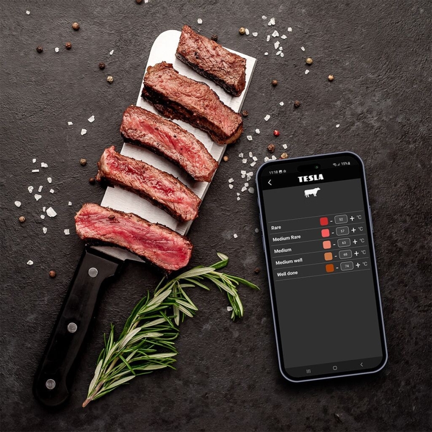 TESLA Electronics Cook - Digital meat thermometer with probe 0-400 °C 2xAA IP65