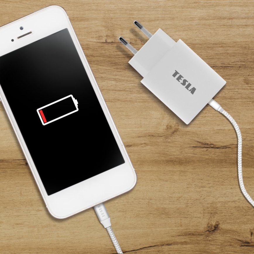 TESLA Electronics - Fast charging adapter Power Delivery 20W white