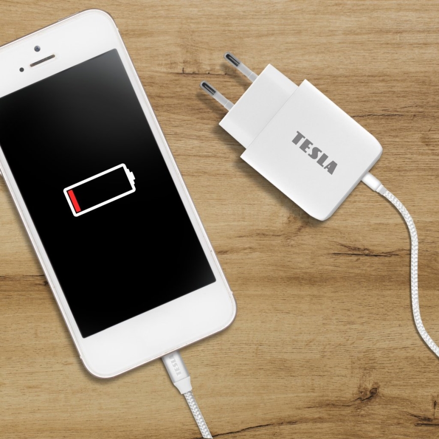 TESLA Electronics - Fast charging adapter Power Delivery 25W white