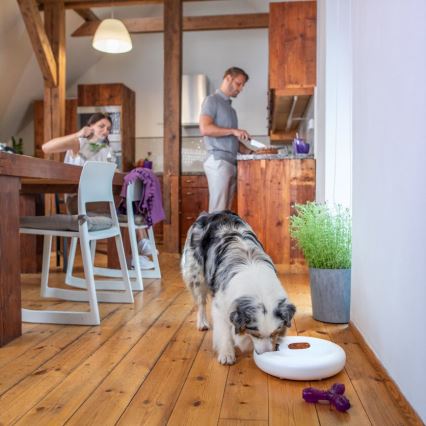 TESLA Smart - Smart automated feeder with a camera for pets 4 l 5V/3xLR20 Wi-Fi