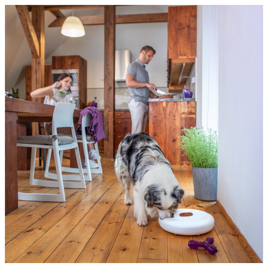 TESLA Smart - Smart automated feeder with a camera for pets 4 l 5V/3xLR20 Wi-Fi