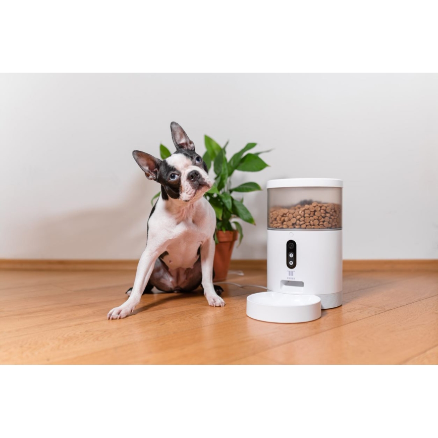 TESLA Smart - Smart automated feeder with a camera for pets 4 l 5V/3xLR20 Wi-Fi