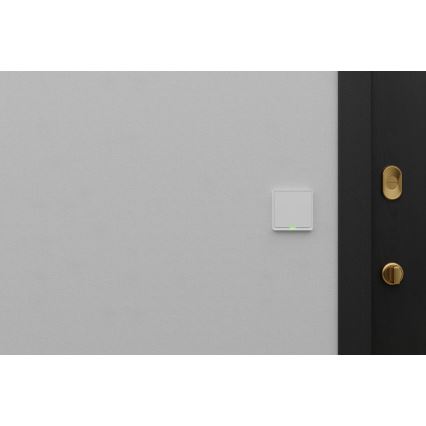 TESLA Smart - Smart home switch 1P 230V Wi-Fi