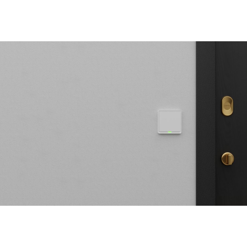 TESLA Smart - Smart home switch 1P 230V Wi-Fi