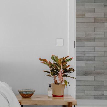 TESLA Smart - Smart home switch 1P 230V Wi-Fi