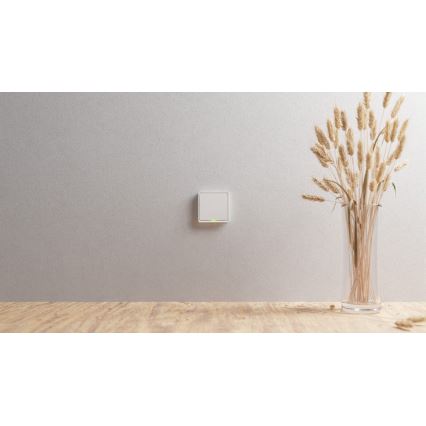 TESLA Smart - Smart home switch 1P 230V Zigbee