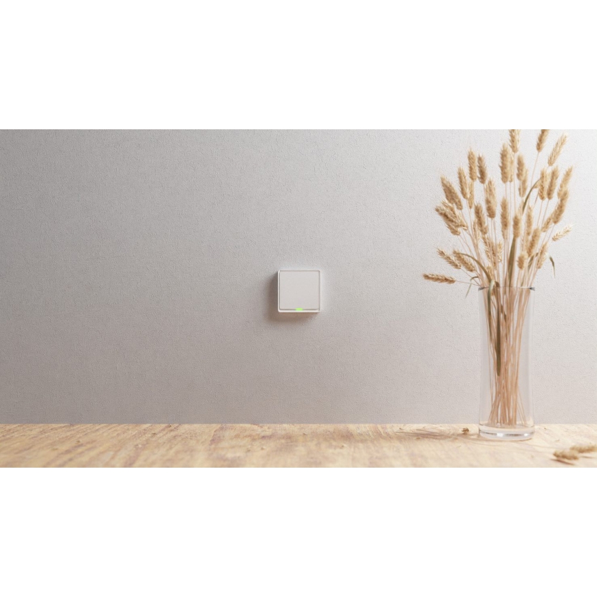 TESLA Smart - Smart home switch 1P 230V Zigbee
