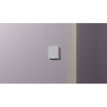 TESLA Smart - Smart home switch 1P 230V Zigbee